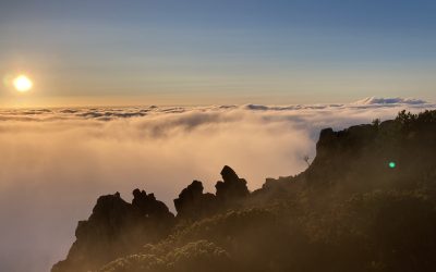 Sommerlager der Rover auf Madeira – 2023